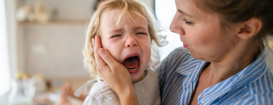 Toddler Meltdowns 101: Why They Happen and What Helps
