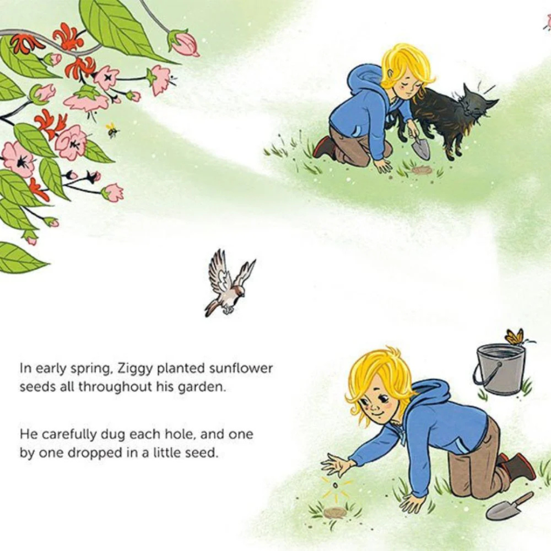 Sunflowers Don't Grow in Winter