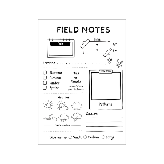 The Kiwi Kids’ Bird Watching Journal