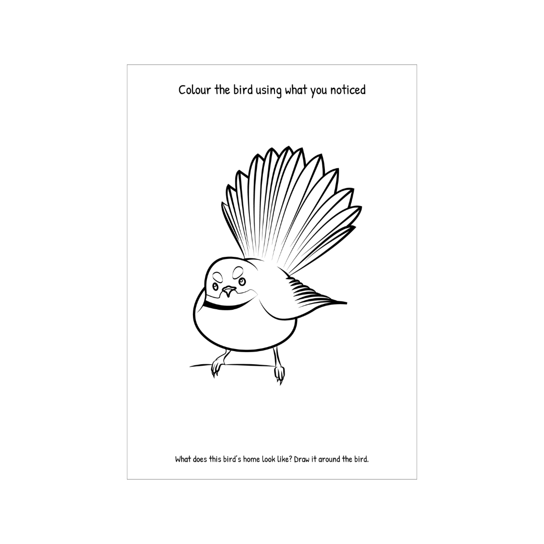 The Kiwi Kids’ Bird Watching Journal