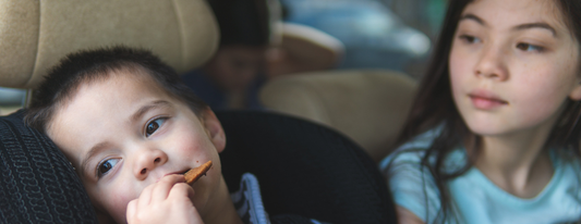 How to Survive a Road Trip with Kids