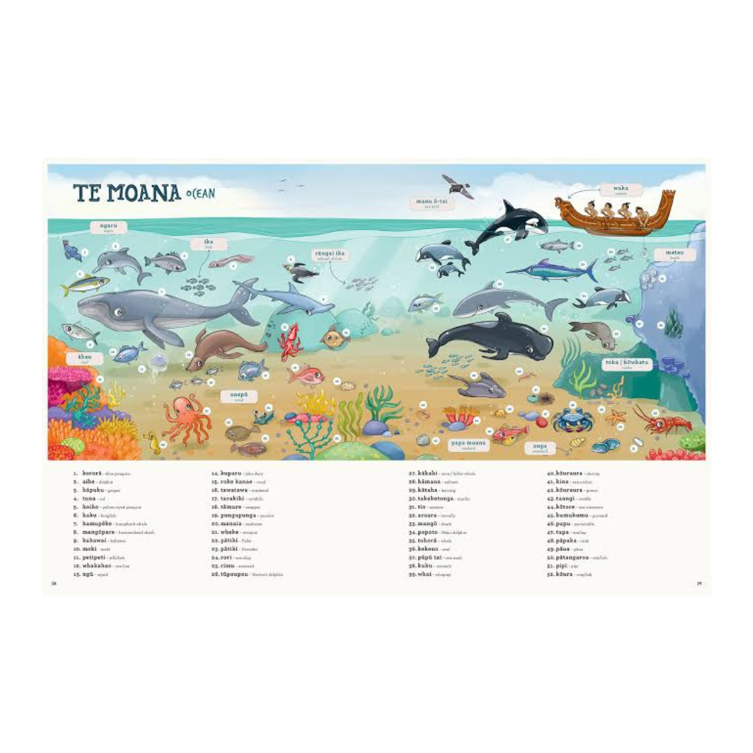 Kuwi and Friends Māori Picture Dictionary
