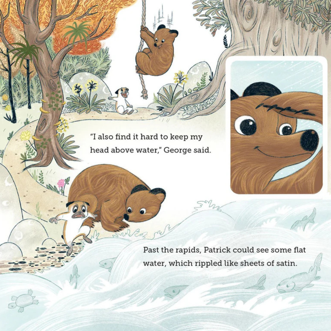 Patrick George Graphics Patrick & George - Adventure, empathy and friendship – Whānau Compass